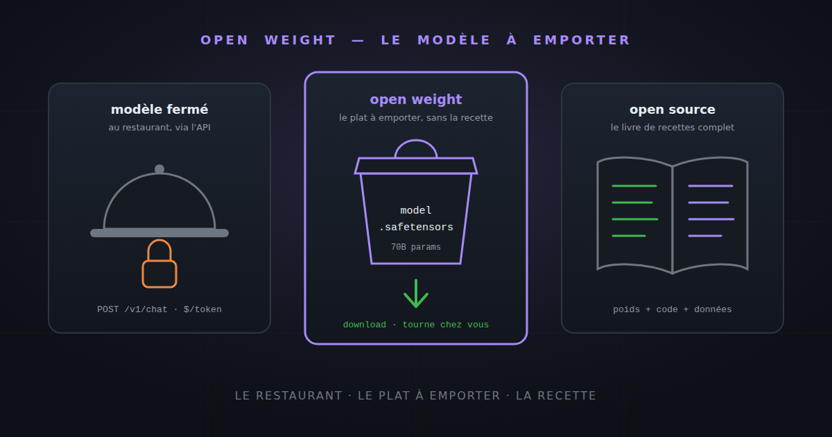 Open weight: the AI model you can take home (and the letter the giants just signed)